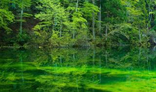 青山绿水就是金山银水诗句 青山绿水的诗句